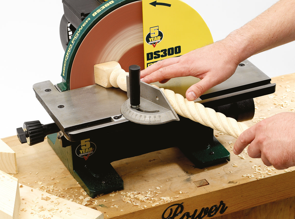 Record Power DS300 – Levigatrice a disco professionale