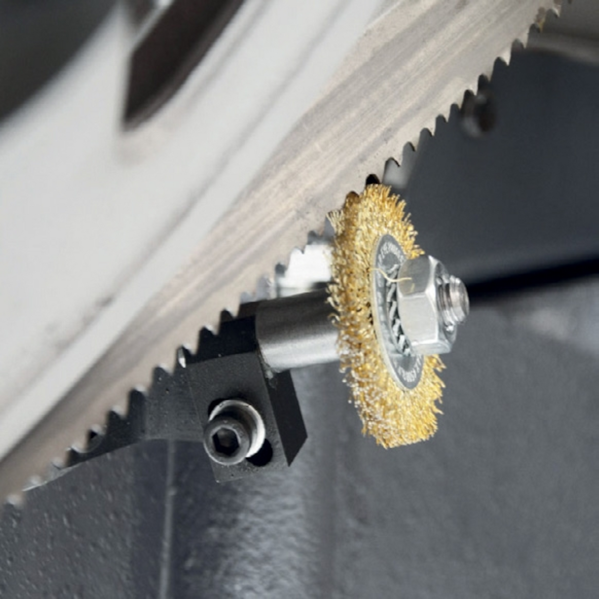 Segatrice a nastro Flott HBS 250 HA – Compatta e precisa per tagli a mitra